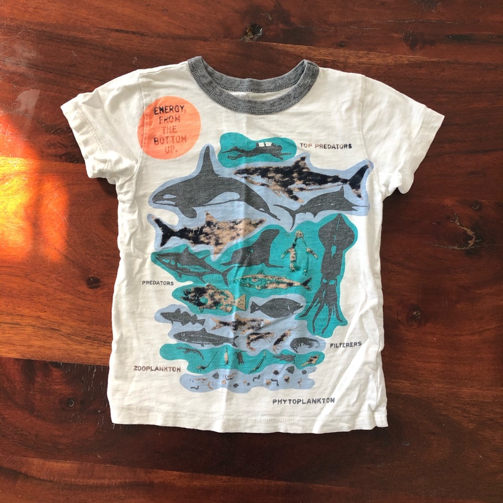 Crewcuts Boys Tshirt